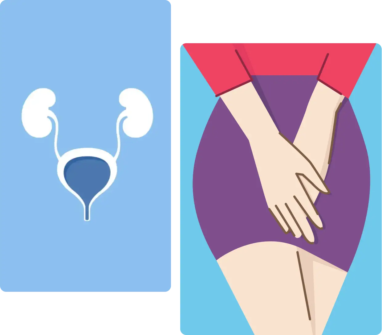 Group-1321317408 A cartoon of an adult woman with a large uterus and a small, unattractive, vagina.